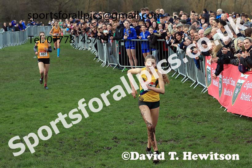 Intermediate Girls 2024 English Schools Cross Country Champs., Pontefract, March 16th.  Photo: David T. Hewitson/Sports for All Pics
